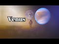 На Венере астрономы обнаружили доказательства существования жизни