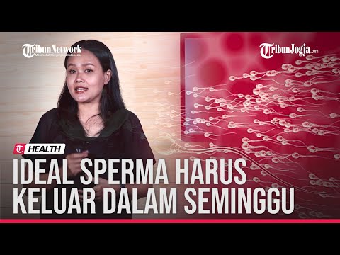 Video: Apakah selama seminggu perlu tanda hubung?