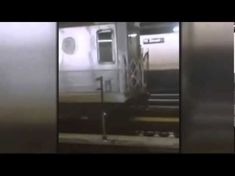 Video: NYC Subway Service Slutar När Kattungar Räddas Från Spåren I Brooklyn