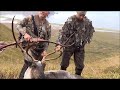 Alaska Tradbow Caribou Hunt