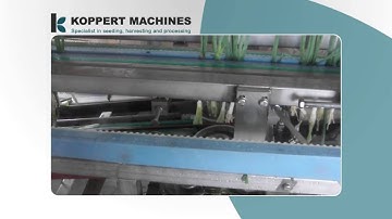 20140327 koppertmachines processing line for spring onion