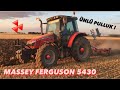 BETON GİBİ ANIZ SÜRÜMÜ !  | MASSEY FERGUSON 5430 |  #masseyferguson #masseyferguson5430