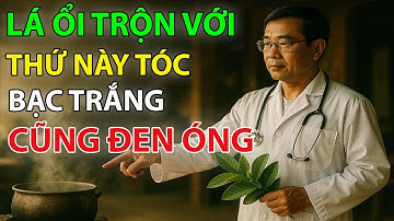 Cách Trị Tóc Bạc Sớm Bằng Lá Ổi – Giúp Tóc Đen, Chắc Khỏe Và An Toàn Sau 7 Ngày! | SỨC KHỎE TUỔI GIÀ