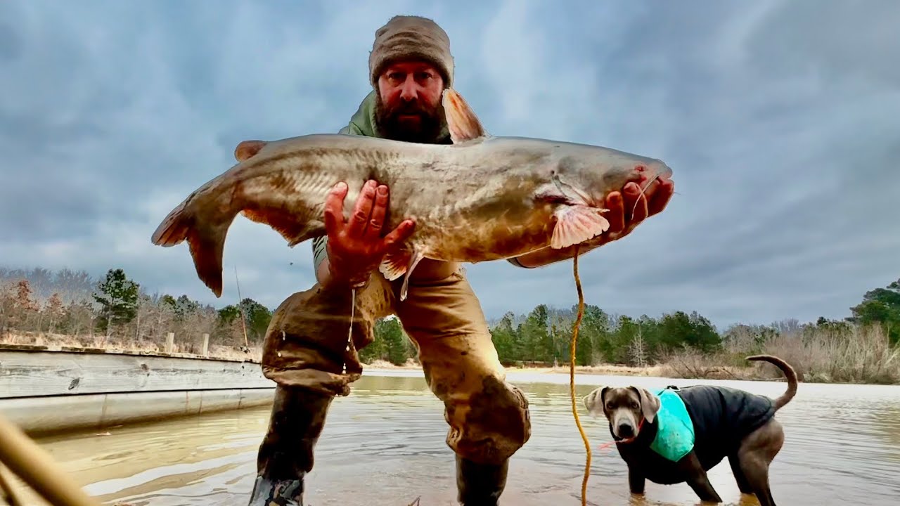 Something is eating my fish | Stocking the pond with big fish