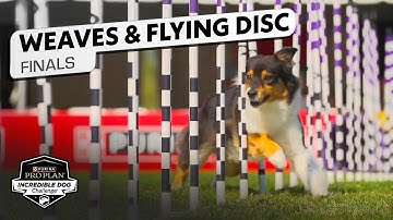 Incredible Dog Challenge: Weave, Flying Disc, Fetch It National Final | NBC Sports