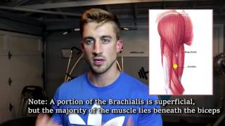 Muscle Definition - Does Your Training Matter 8 minute explanation