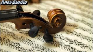 Turkish music_Arinas'Gülümcan'_♬Violin music 'live'♬