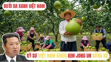 Kim Jong Un Chú Ý Đặc Biệt Đến Bưởi Việt Nam: Lý Do Khiến Cả Quốc Gia Bất Ngờ