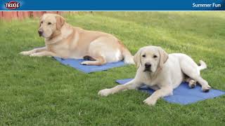 Our summer products provide dogs with cooling in hot temperatures - TRIXIE by TRIXIE UK 453 views 1 year ago 1 minute, 34 seconds
