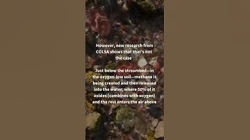 Measuring methane in streams: The role of small streams in the global methane cycle