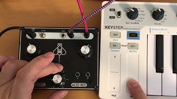 ACID BEE CV-2 Input TEST