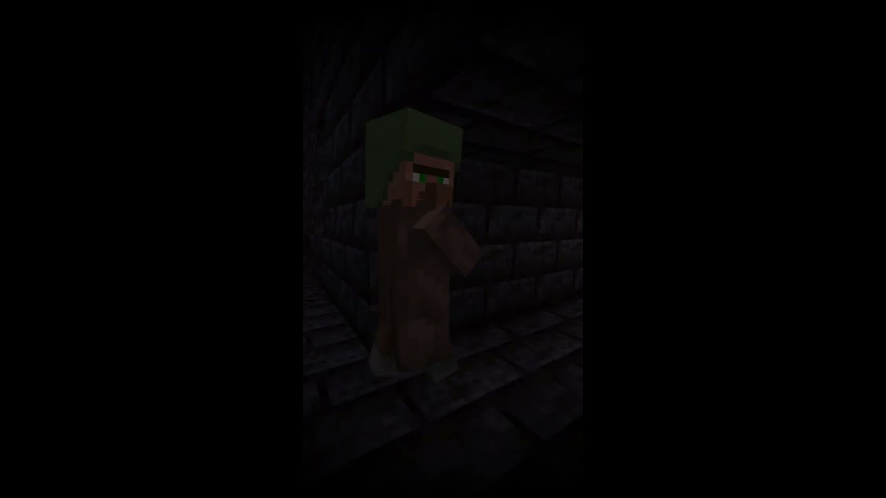 The Last Villager In Minecraft