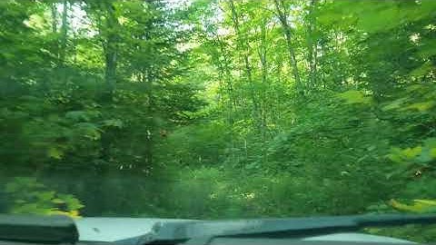 Seeking Bigfoot: Knarly Trail to Den-like Stick Structure