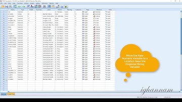 Automatic Recode in SPSS