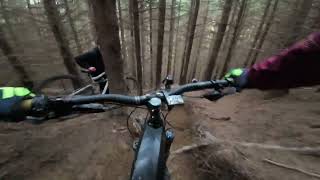 Golfie 28 January 2024