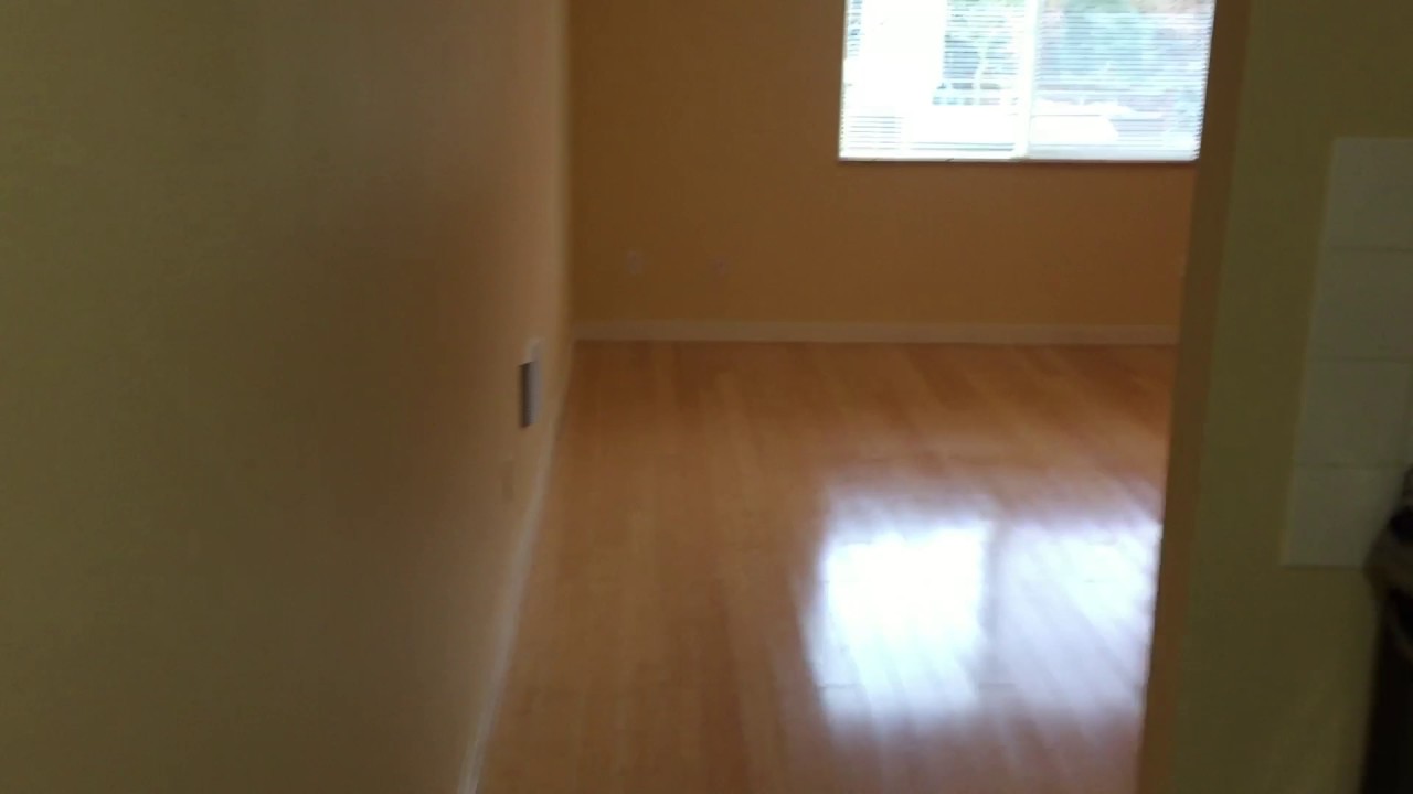 Curry Court Apartment 5 YouTube