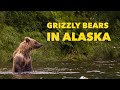 The Alaskan Grizzly Bear Adventure