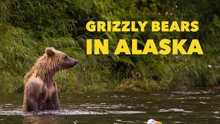 The Alaskan Grizzly Bear Adventure