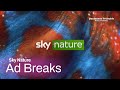 Sky Nature Germany Continuity Ad Breaks 15 03 2025 