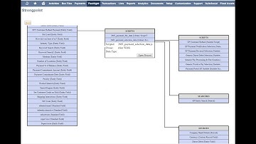 Flashlight by Strongpoint Demo - NetSuite