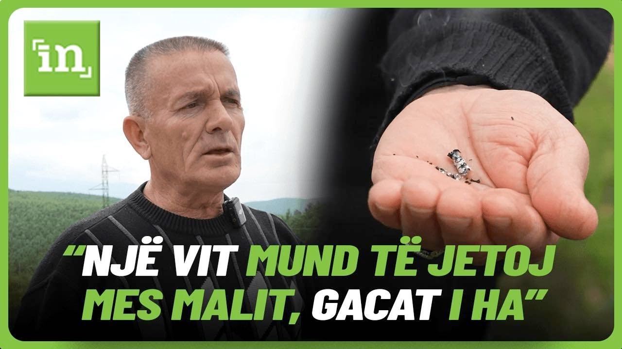 “Një vit mund të jetoj mes malit, gacat i ha” – Tarzani i Kosovës rrëfen sfidat më të mëdha të jetës