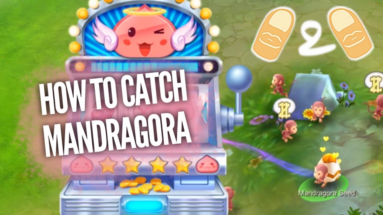 Ragnarok Mobile How to Catch Mandragora Seed Petpet Guide Gameplay