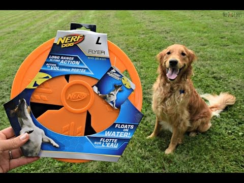 nerf dog frisbee