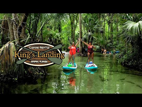 Reproductor de vídeo de YouTube