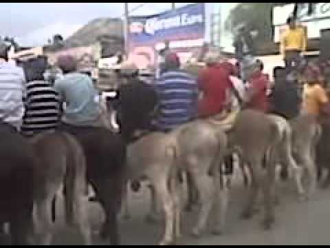 carrera de burros de Villa Hidalgo SLP