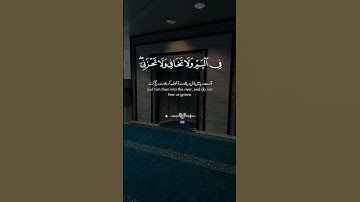 ماتيسر من سورة القصص #تلاوة_خاشعة #راحة_نفسية #سورة_القصص #القران_الكريم #ياسر_الدوسري