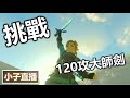 挑戰獲得120攻大師之劍【王國之淚】小子直播