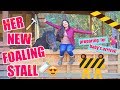 Building My Horse A Foaling Stall! | My Pregnant Horse Pt.7