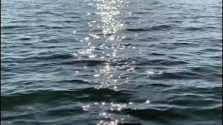 #23. 한강의 윤슬, 로파이와 재즈.