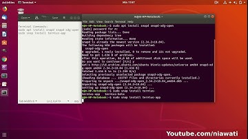 How to Install App With Snapd in Ubuntu