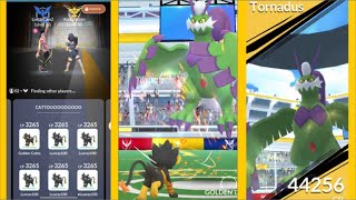 Level 50 Luxray vs Therian Tornadus duo (no weather boost)