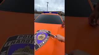 German Plum Cake (Pflaumenkuchen)  Germany’sPlum Dessert! 🇩🇪🍰 #cake #birthday #viral #shorts