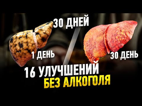 Видео: Как взломать ваше творчество (через 10 минут в день)