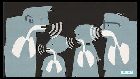 Voice: Domain 5, Lesson 11