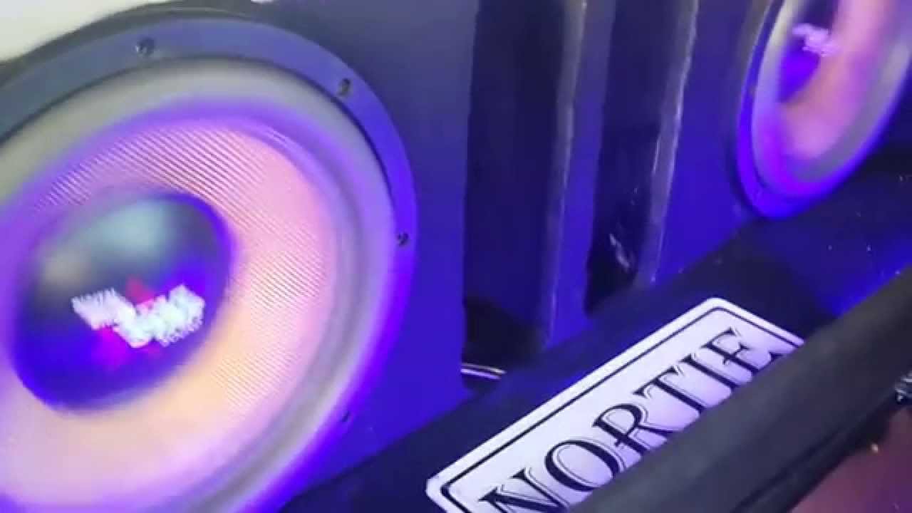 Loudest Bantam in S.A. TEAM FLEX'N - YouTube