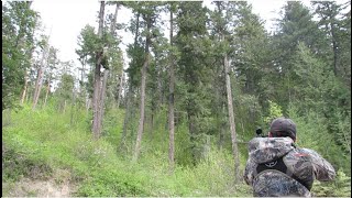 2022 British Columbia Black Bear Hunting