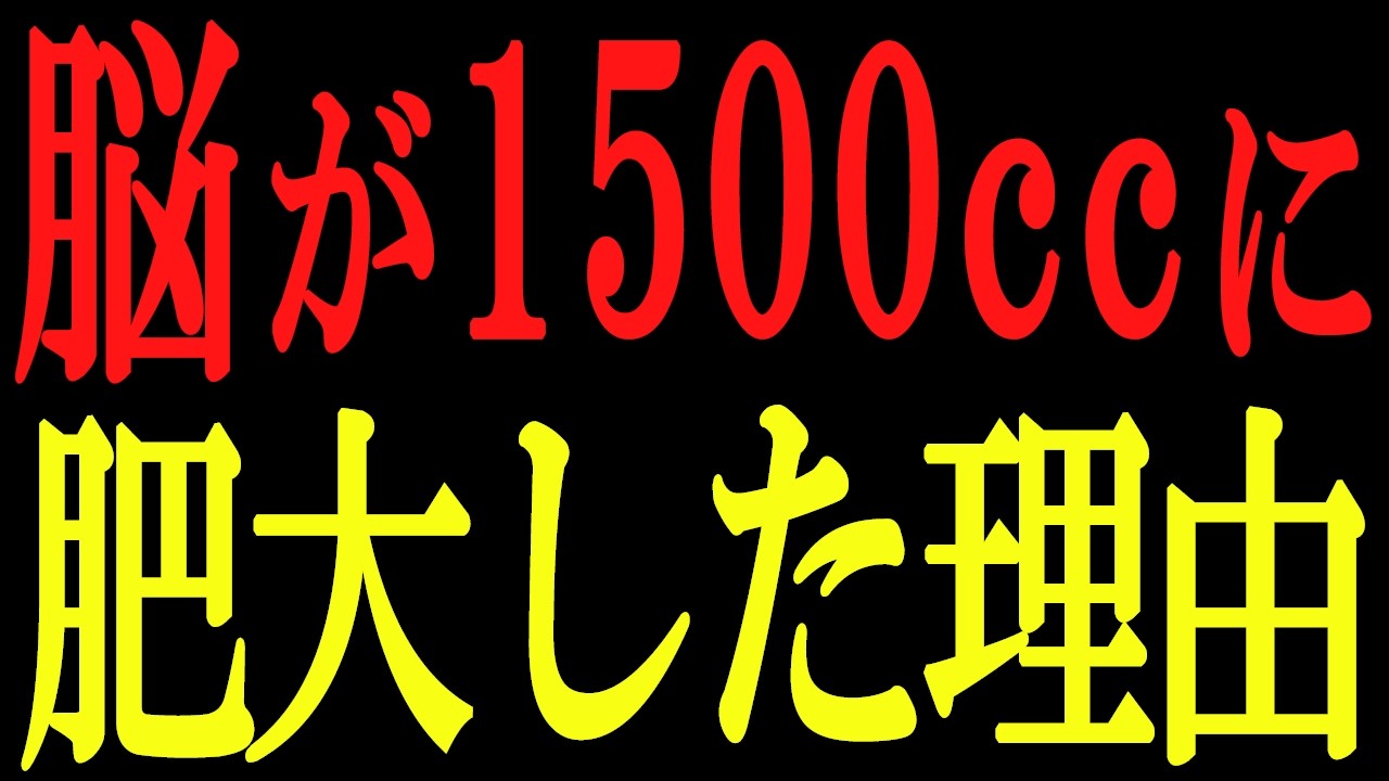 【常識崩壊】なぜ「脂」を食べるほど長寿になるのか?最新最古の若返り技術。『なぜ脂質で痩せるのか?』金森重樹さんとの対談