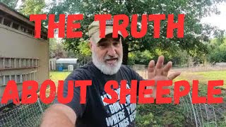 Decoding The Word Sheeple The Meaning