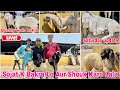 Deonar Bakra Mandi Ramadan Day 7 Saturday Latest Update 8 March 2025 | देवनार बकरी मंडी ऑफ़ मुंबई |