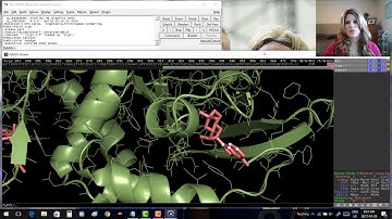 Pymol for Beginners - video 4: H-bonds
