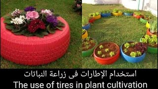 استخدام الإطارات فى زراعة النباتات The use of tires in plant cultivation