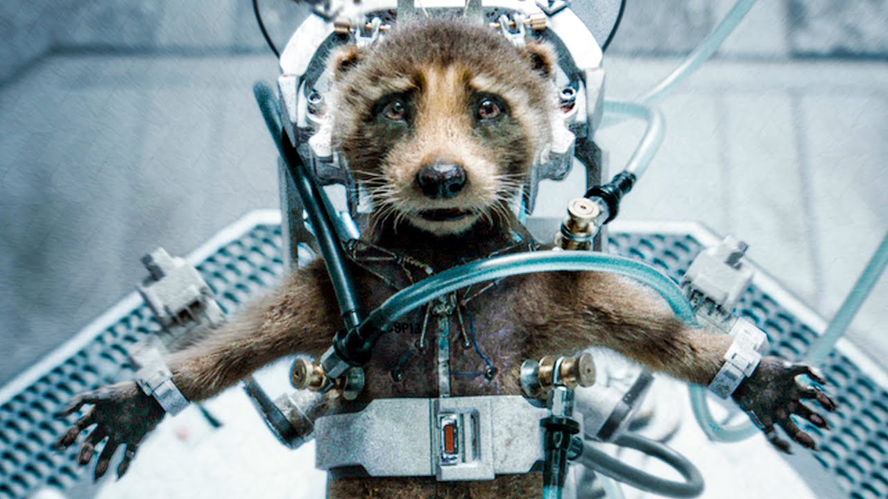 GUARDIANS OF THE GALAXY 3 All Movie Clips (2023) YouTube