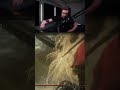 Average Elden Ring Experience...