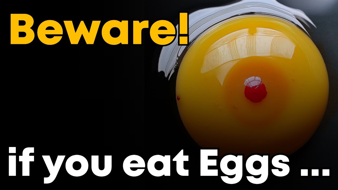 The Truth About Blood Spots In Eggs What You Need To Know YouTube