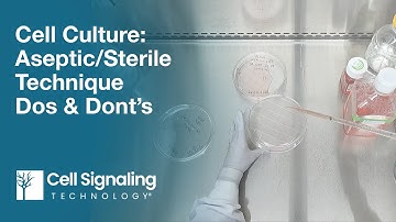 Cell Culture: Aseptic/Sterile Technique Dos & Don’ts | CST Tech Tips