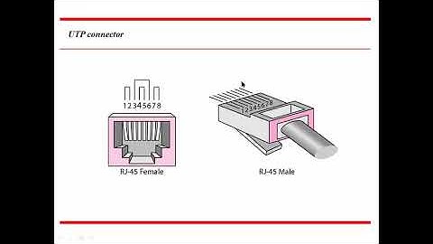 Computer Network Lab 2